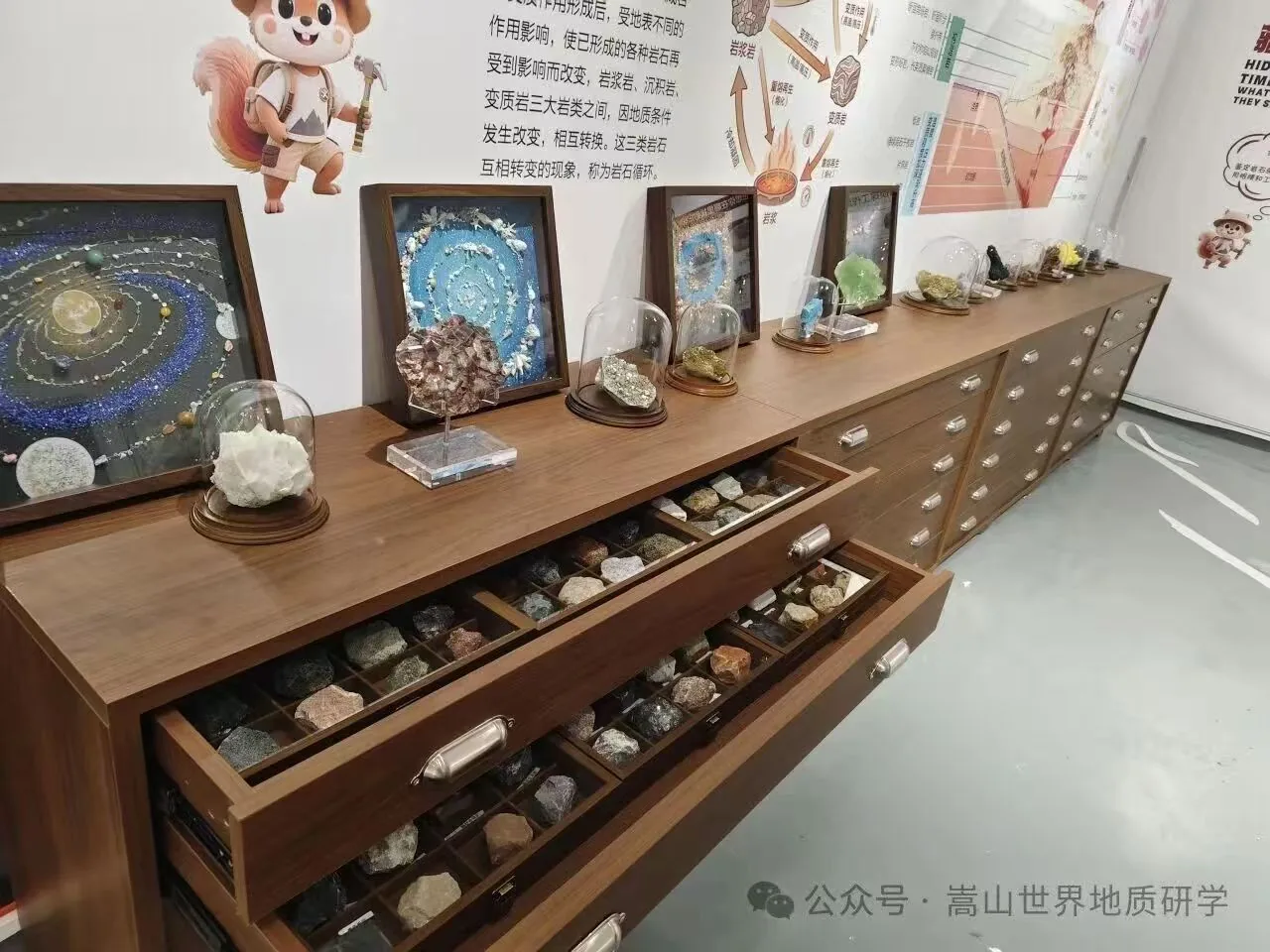 馆内陈列